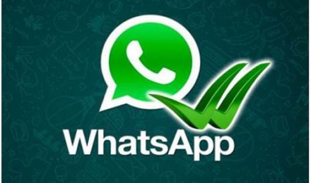 Offerta WhatsApp Versilia