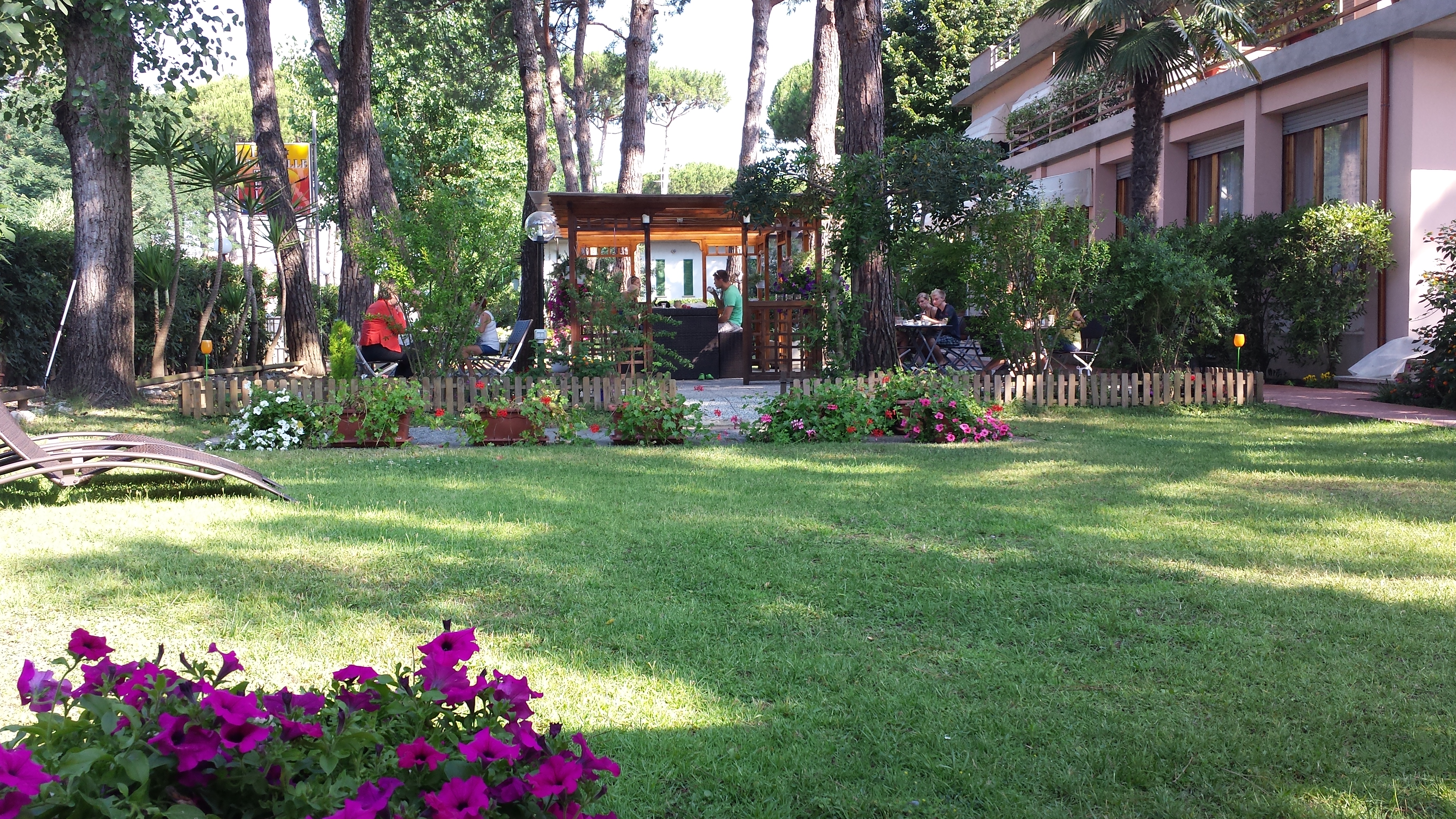 Pini marittimi centenari hotel con giardino Cinquale